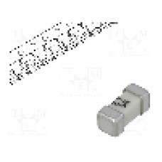 Siguranta fuzibila lenta, SMD 2410, 5A, 125V, 125V AC, 125V DC, LITTELFUSE - 0454005.MR