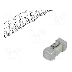 Siguranta fuzibila lenta, SMD 2410, 750mA, 125V, 125V AC, 125V DC, LITTELFUSE - 0454.750MR