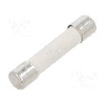 Siguranta fuzibila lenta, 10A, tensiune 250V AC, {{Dimensiune siguranţa}}, BEL FUSE - GSA 10-R