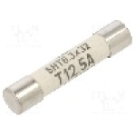 Siguranta fuzibila lenta, 12,5A, tensiune 400V AC, 400V DC, {{Dimensiune siguranţa}}, SCHURTER - 8020.5022