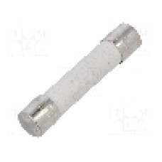 Siguranta fuzibila lenta, 15A, tensiune 250V AC, {{Dimensiune siguranţa}}, SCHURTER - 8020.0604.G