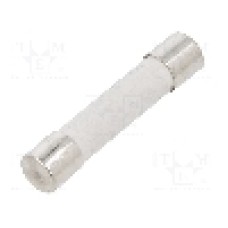 Siguranta fuzibila lenta, 20A, tensiune 250V AC, {{Dimensiune siguranţa}}, SCHURTER - 8020.0605.G