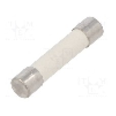 Siguranta fuzibila lenta, 40A, tensiune 250V AC, 6,35x31,8mm, SCHURTER - 8020.0608.H