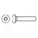 Surub M3, Oţel rezistent la acizi A4, lungime 25mm, buton, pas filet 0.5, BOSSARD - 3183846