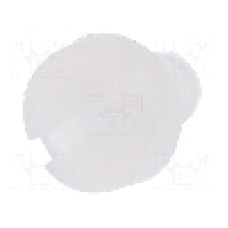 Surub M3, poliamida, lungime 4mm, cap rotund, pas filet 0.5, DREMEC - 8G201M3X04