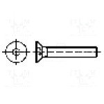 Surub M6, Oţel rezistent la acizi A4, lungime 16mm, ingropat, pas filet 1, BOSSARD - 1038060 Surub M6, Oţel rezistent la acizi A4, lungime 16mm, ingropat, pas filet 1, BOSSARD - 1038060