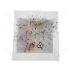 Terminal cu compresie, cablu 0.2...0.5mm<sup>2</sup>, {{Placare contact}}, NINIGI - ST-ASS-HST2-1/1.7 Terminal cu compresie, cablu 0.2...0.5mm<sup>2</sup>, {{Placare contact}}, NINIGI - ST-ASS-HST2-1/1.7