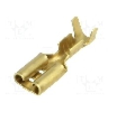 Terminal tip plat, pentru surub {{Orificiu pentru şurub}}, BM GROUP - BM 01145