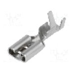 Terminal tip plat, pentru surub {{Orificiu pentru şurub}}, BM GROUP - BM 01146