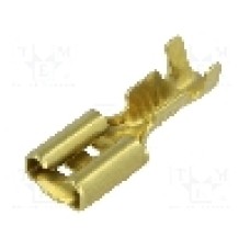 Terminal tip plat, pentru surub {{Orificiu pentru şurub}}, BM GROUP - BM 01148