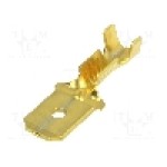 Terminal tip plat, pentru surub {{Orificiu pentru şurub}}, BM GROUP - BM 01180