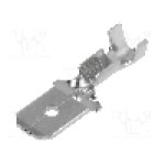 Terminal tip plat, pentru surub {{Orificiu pentru şurub}}, BM GROUP - BM 01181