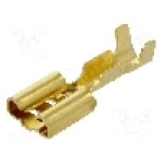 Terminal tip plat, pentru surub {{Orificiu pentru şurub}}, BM GROUP - BM 01190