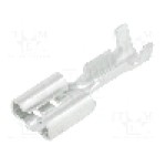 Terminal tip plat, pentru surub {{Orificiu pentru şurub}}, BM GROUP - BM 01191