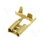 Terminal tip plat, pentru surub {{Orificiu pentru şurub}}, BM GROUP - BM 01195