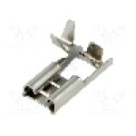 Terminal tip plat, pentru surub {{Orificiu pentru şurub}}, BM GROUP - BM 01196