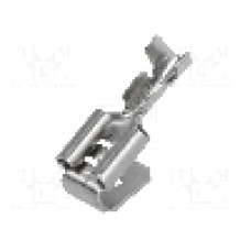 Terminal tip plat, pentru surub {{Orificiu pentru şurub}}, BM GROUP - BM 01199