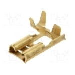 Terminal tip plat, pentru surub {{Orificiu pentru şurub}}, BM GROUP - BM 01295