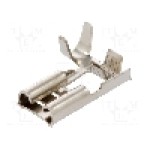 Terminal tip plat, pentru surub {{Orificiu pentru şurub}}, BM GROUP - BM 01296