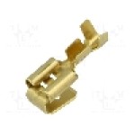 Terminal tip plat, pentru surub {{Orificiu pentru şurub}}, BM GROUP - BM 01298