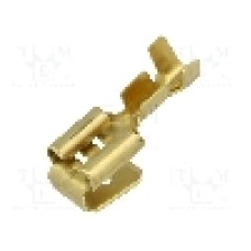 Terminal tip plat, pentru surub {{Orificiu pentru şurub}}, BM GROUP - BM 01298