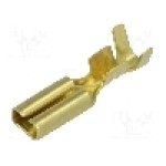 Terminal tip plat, pentru surub {{Orificiu pentru şurub}}, BM GROUP - BM 01390