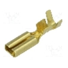 Terminal tip plat, pentru surub {{Orificiu pentru şurub}}, BM GROUP - BM 01390