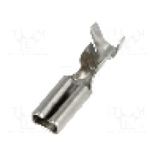 Terminal tip plat, pentru surub {{Orificiu pentru şurub}}, BM GROUP - BM 01391