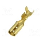 Terminal tip plat, pentru surub {{Orificiu pentru şurub}}, BM GROUP - BM 01395