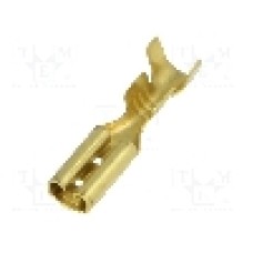 Terminal tip plat, pentru surub {{Orificiu pentru şurub}}, BM GROUP - BM 01395