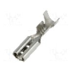 Terminal tip plat, pentru surub {{Orificiu pentru şurub}}, BM GROUP - BM 01396