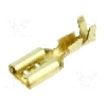 Terminal tip plat, pentru surub {{Orificiu pentru şurub}}, BM GROUP - BM 02145