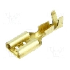 Terminal tip plat, pentru surub {{Orificiu pentru şurub}}, BM GROUP - BM 02145