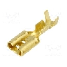 Terminal tip plat, pentru surub {{Orificiu pentru şurub}}, BM GROUP - BM 02148