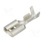 Terminal tip plat, pentru surub {{Orificiu pentru şurub}}, BM GROUP - BM 02149