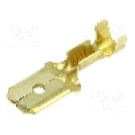 Terminal tip plat, pentru surub {{Orificiu pentru şurub}}, BM GROUP - BM 02180