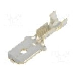 Terminal tip plat, pentru surub {{Orificiu pentru şurub}}, BM GROUP - BM 02181