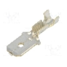 Terminal tip plat, pentru surub {{Orificiu pentru şurub}}, BM GROUP - BM 02181