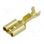 Terminal tip plat, pentru surub {{Orificiu pentru şurub}}, BM GROUP - BM 02190