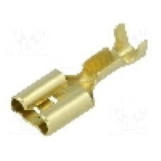 Terminal tip plat, pentru surub {{Orificiu pentru şurub}}, BM GROUP - BM 02190