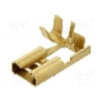 Terminal tip plat, pentru surub {{Orificiu pentru şurub}}, BM GROUP - BM 02195