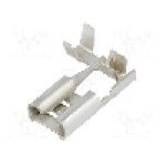 Terminal tip plat, pentru surub {{Orificiu pentru şurub}}, BM GROUP - BM 02196