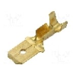 Terminal tip plat, pentru surub {{Orificiu pentru şurub}}, BM GROUP - BM 02280