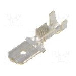 Terminal tip plat, pentru surub {{Orificiu pentru şurub}}, BM GROUP - BM 02281