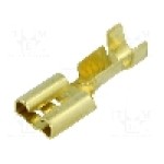 Terminal tip plat, pentru surub {{Orificiu pentru şurub}}, BM GROUP - BM 02290