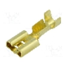 Terminal tip plat, pentru surub {{Orificiu pentru şurub}}, BM GROUP - BM 02290