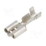 Terminal tip plat, pentru surub {{Orificiu pentru şurub}}, BM GROUP - BM 02291