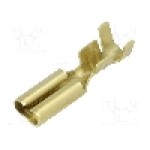 Terminal tip plat, pentru surub {{Orificiu pentru şurub}}, BM GROUP - BM 02390