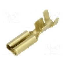 Terminal tip plat, pentru surub {{Orificiu pentru şurub}}, BM GROUP - BM 02390