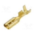 Terminal tip plat, pentru surub {{Orificiu pentru şurub}}, BM GROUP - BM 02395